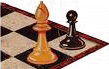 a8pawn